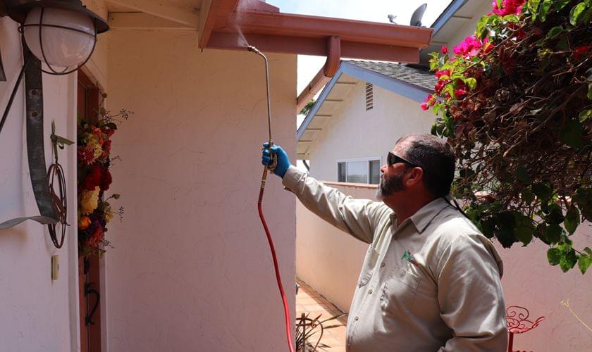 Great Pest Control in Pismo Beach