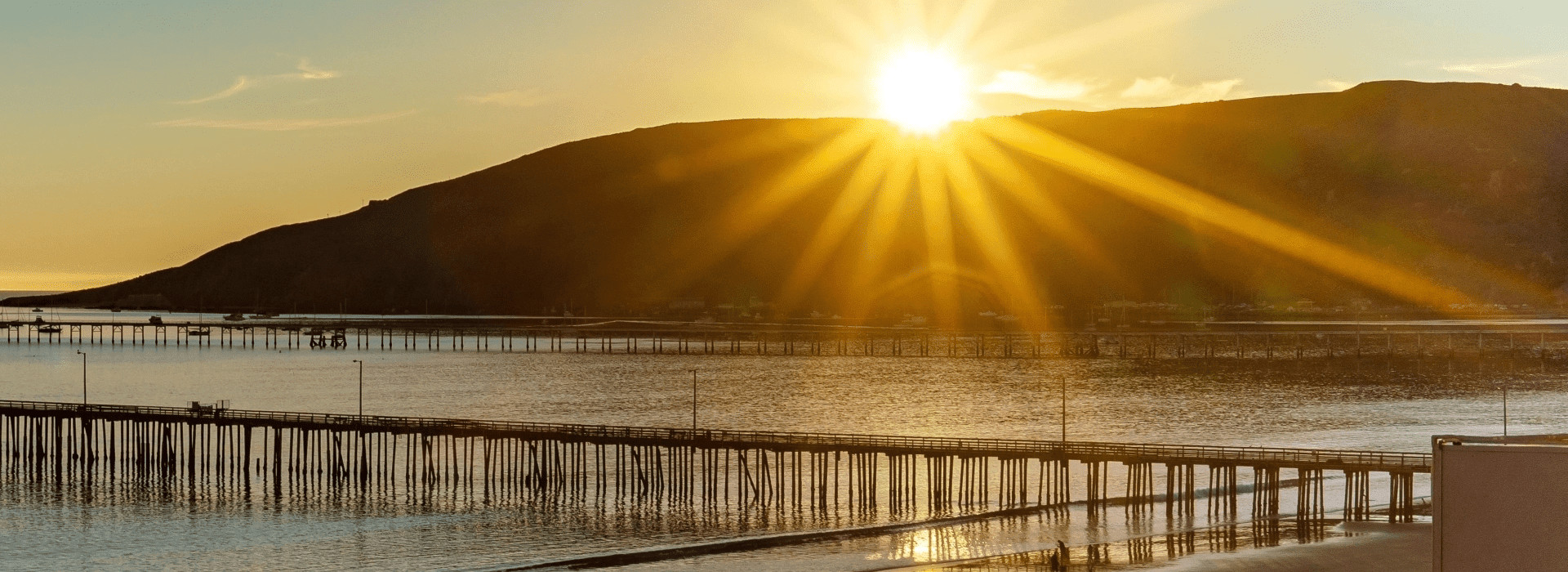 Eco-Friendly Pest Control in Avila Beach