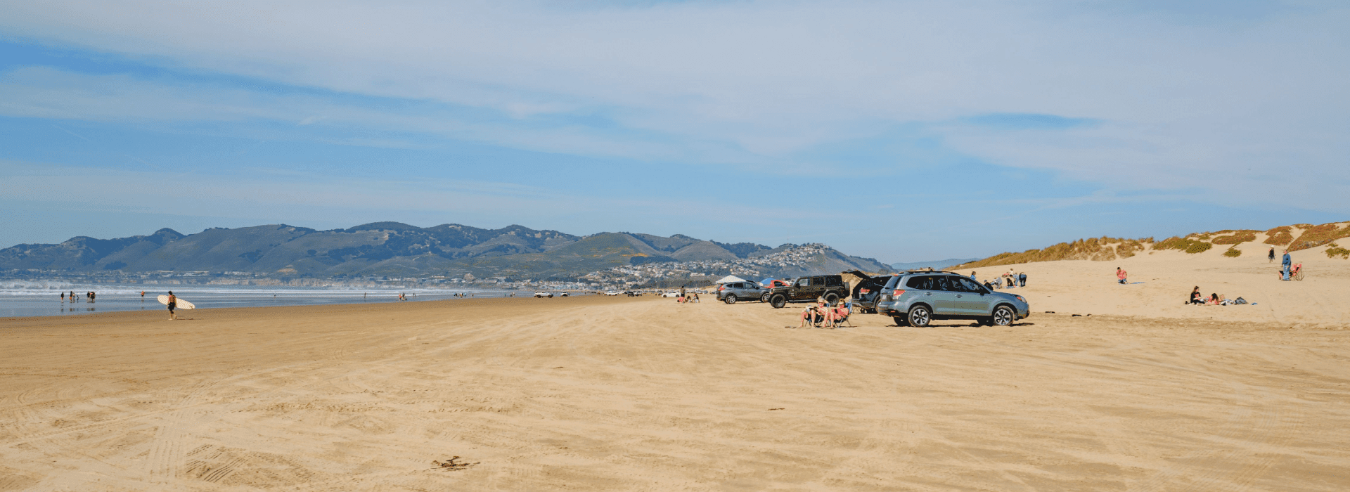 Eco-Friendly Pest Control in Oceano