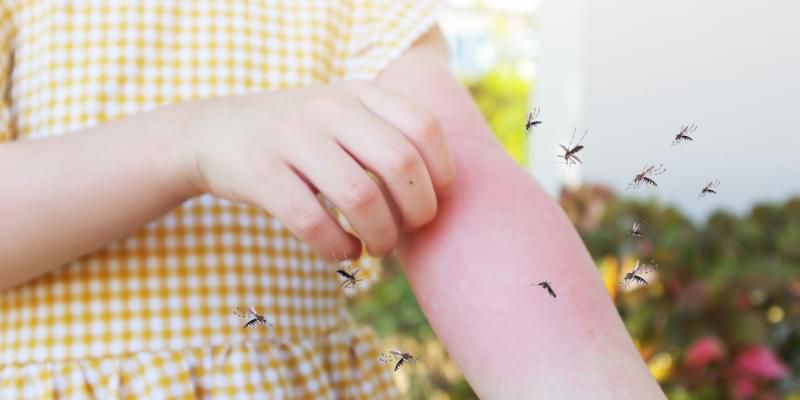 Best Mosquito Control and Prevention in Pismo Beach