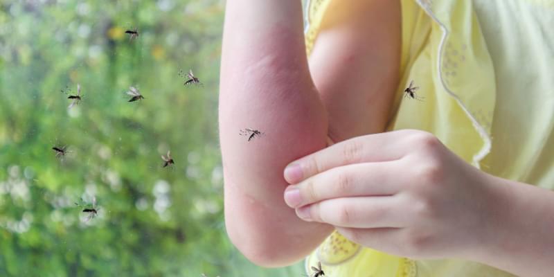 Green Pest Control Solutions: Embrace Eco-Friendly Mosquito Control in Grover Beach